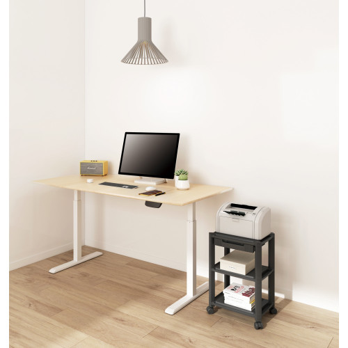 Techly Πολυλειτουργικό καροτσάκι 3 ραφιών για εκτυπώτη ICA-MS 405