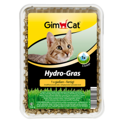 Gimcat Γρασιδι Αμεσης Αναπτυξης