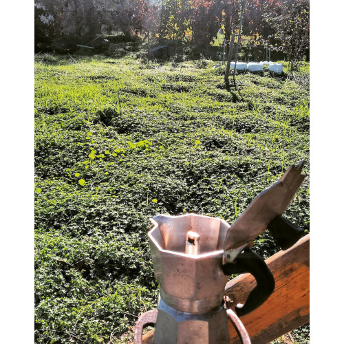 Bialetti Moka Express Μπρίκι Espresso 3cups Ασημί